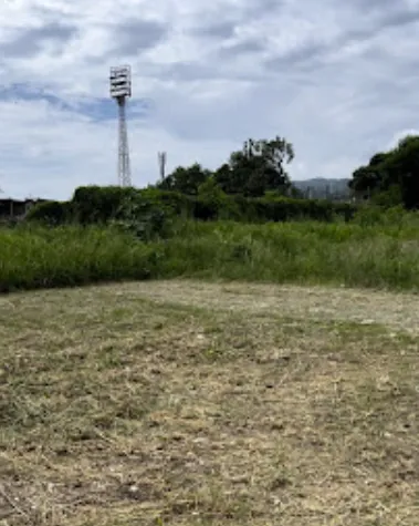 Commercial grass cutting in Clarendon