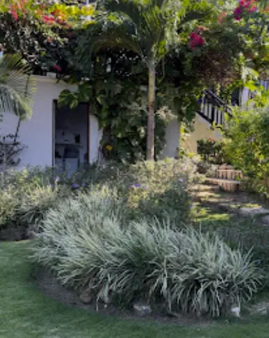 Garden maintenance in Portland