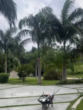 Landscape design in Saint Andrew