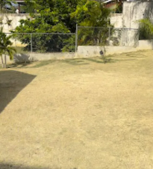 Lawn Care in Manchester